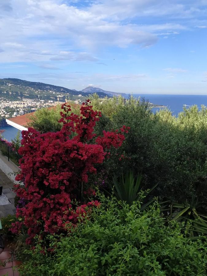 Casa Elianta Villa วีโกเอเกวนเซ ภายนอก รูปภาพ